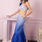 Bluebell Ombre Skirt set